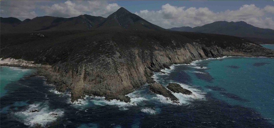 Wirlomin survey visualisation